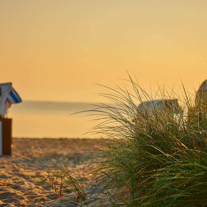 Lovers & Best Friends 