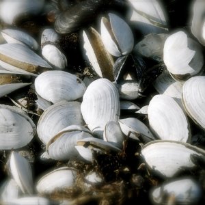 Bild 2 von 9 der Galerie "Impressionen"