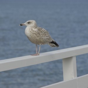 Bild 5 von 9 der Galerie "Impressionen"