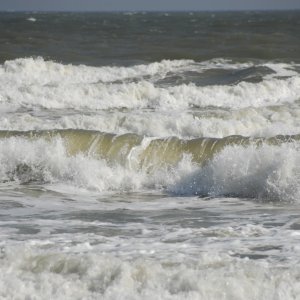 Bild 7 von 9 der Galerie "Impressionen"