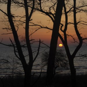 Bild 9 von 9 der Galerie "Impressionen"